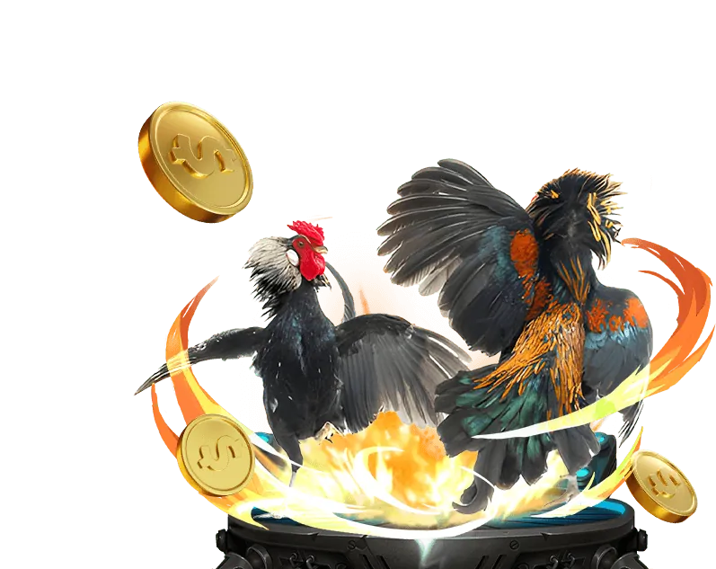 Hướng dẫn cá cược đá gà abcvip