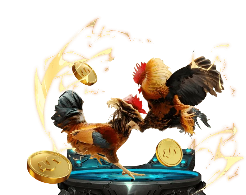 Những thay đổi trong luật cá cược đá gà